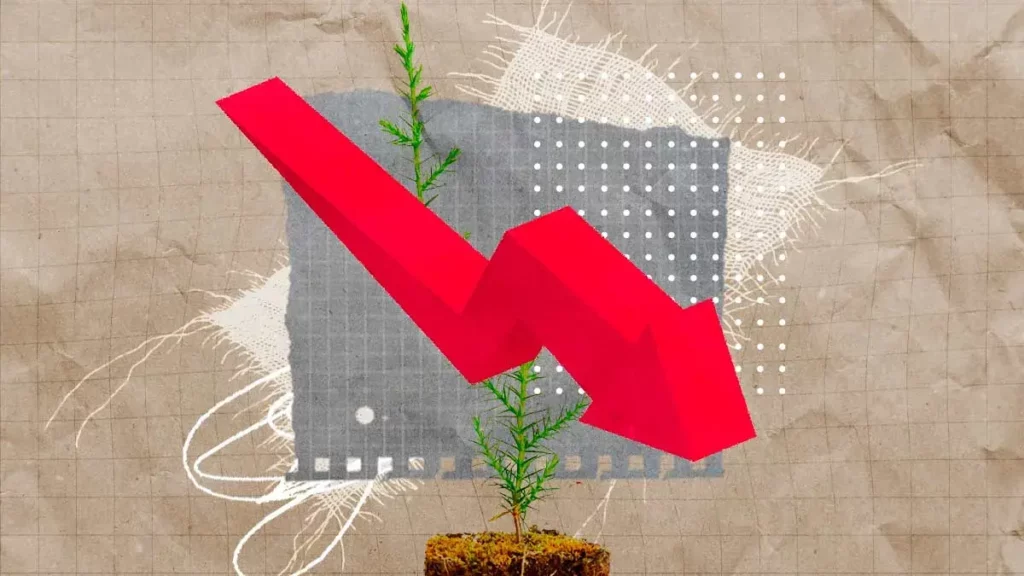El 69% de los viveros forestales en Puebla tuvieron pérdidas por el clima 