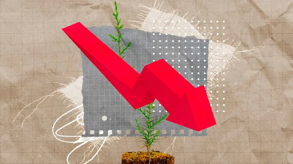 El 69% de los viveros forestales en Puebla tuvieron pérdidas por el clima