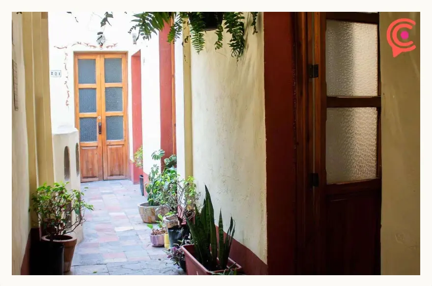 Conoce Proyecto 203, un centro de gestión cultural y cafetería en Puebla  