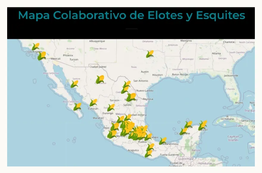 Los mejores lugares para comer elotes y esquites en Puebla y el país