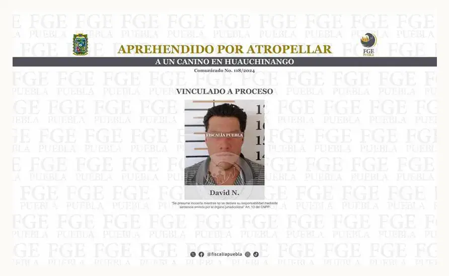 David N. es detenido por atropellar y matar a un perro en Huauchinango