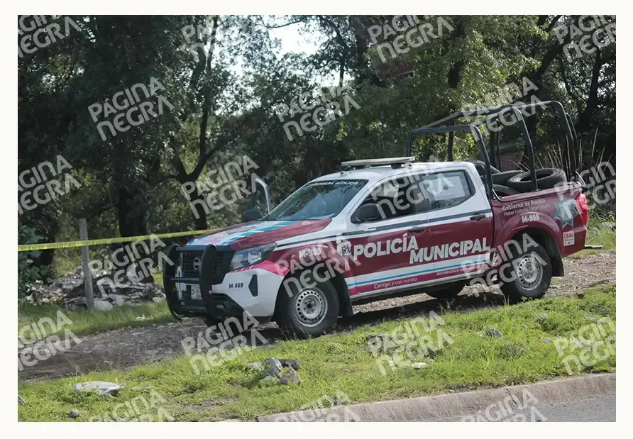 Hombre se quitó la vida colgándose de un árbol en la carretera a Santa Cruz Alpuyeca