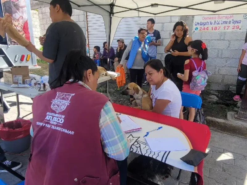 Jornadas "Una Sola salud", buscan promover la tenencia responsable en Atlixco