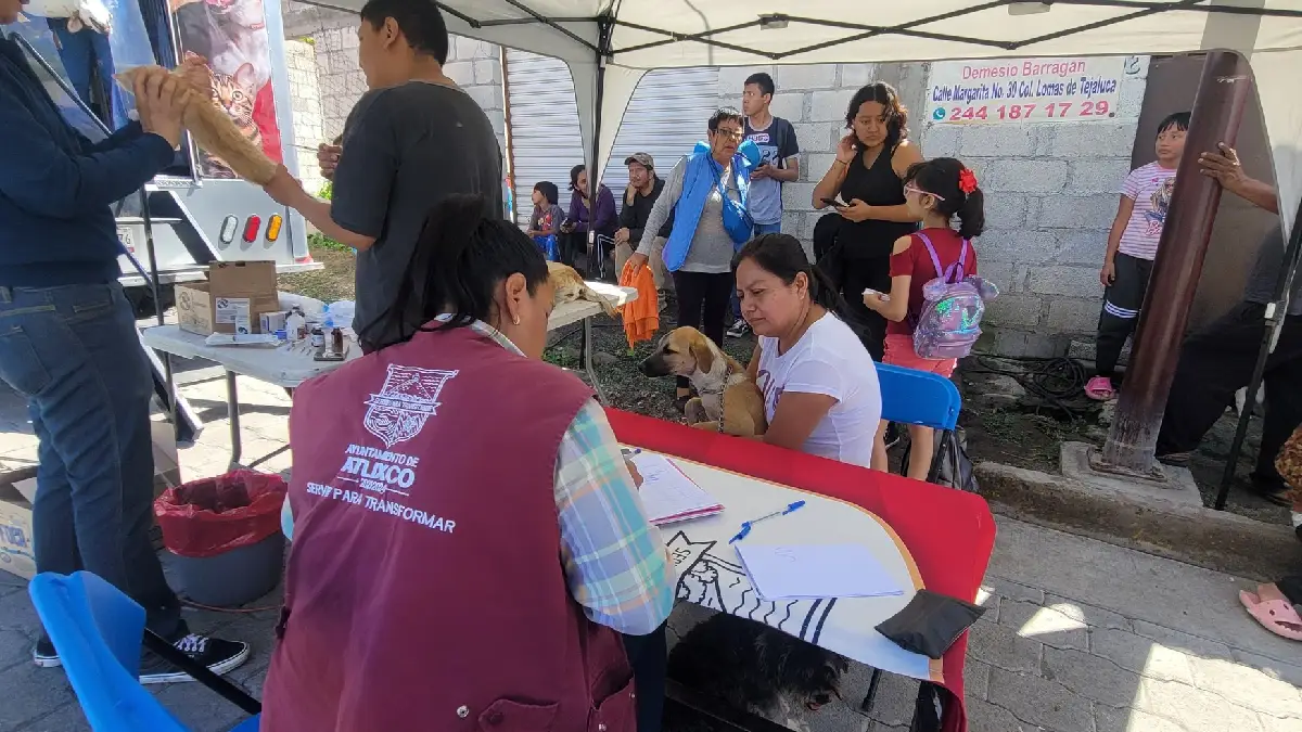 Jornadas "Una Sola salud", buscan promover la tenencia responsable en Atlixco
