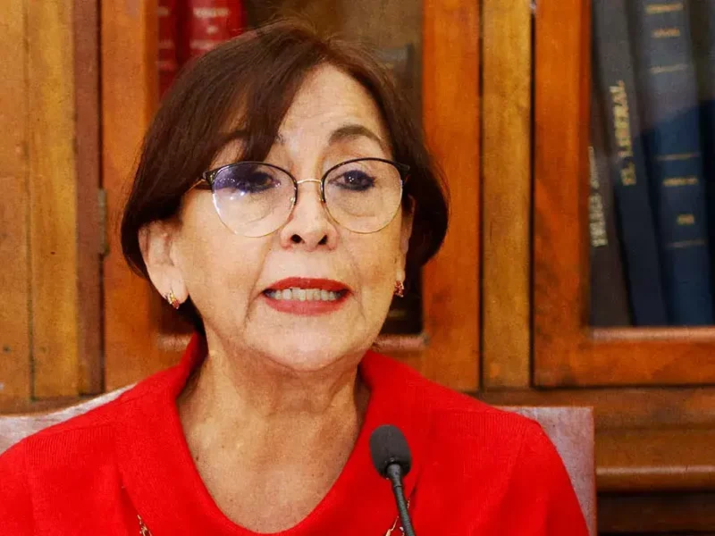 Rocío García Olmedo critica desempeño de dirigencias del PRI; acusa a Néstor Camarillo de “inmaduro”