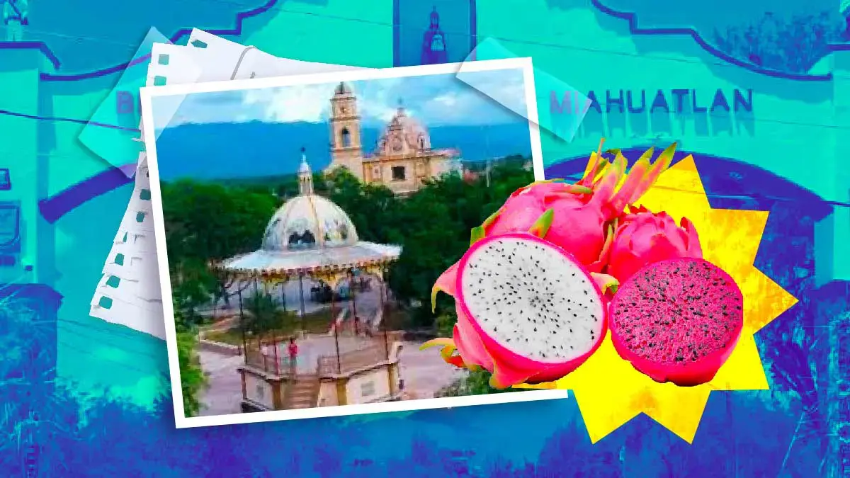 Asiste a la Feria de la Pitahaya 2024 en San José Miahuatlán