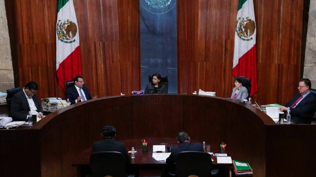 TEPJF ratifica senaduría indígena de Néstor Camarillo