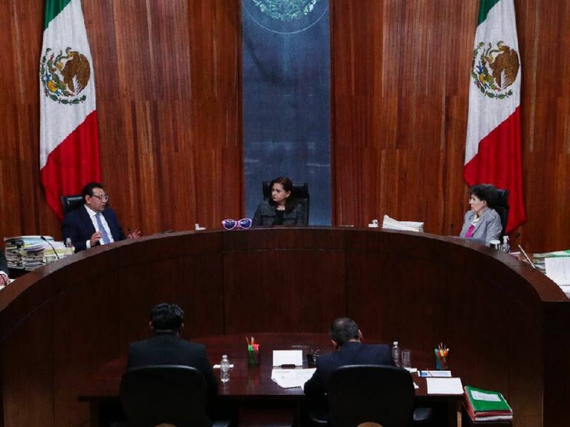 TEPJF ratifica senaduría indígena de Néstor Camarillo