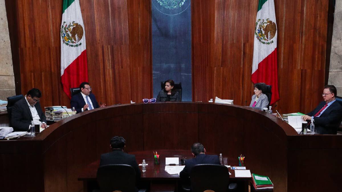 TEPJF ratifica senaduría indígena de Néstor Camarillo