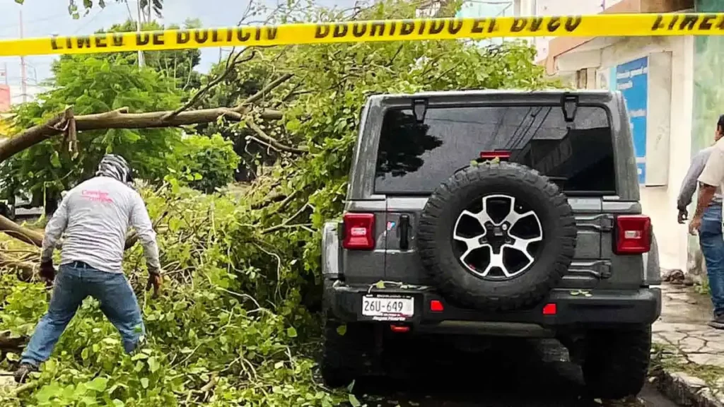 Lluvia del 24 de julio en Puebla dejo 13 autos varados y árboles caídos