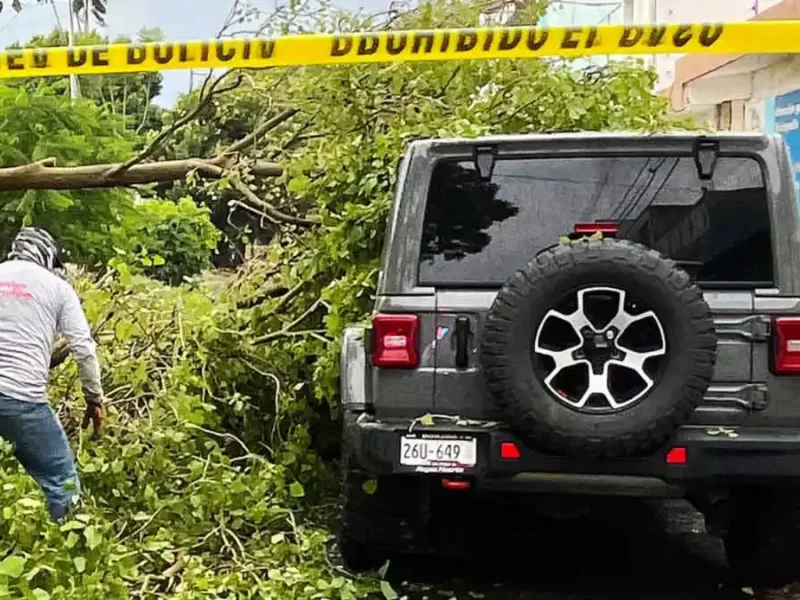 Lluvia del 24 de julio en Puebla dejo 13 autos varados y árboles caídos