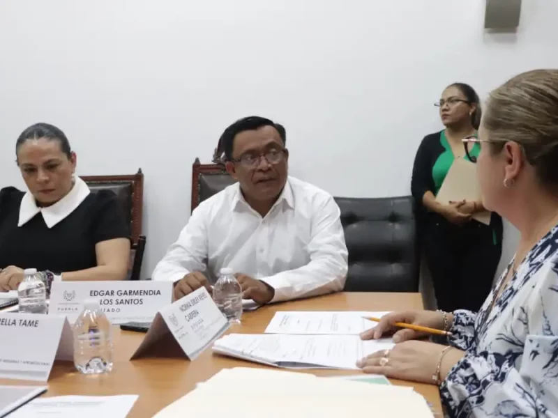 Presenta Comisión de Pueblos, Comunidades Indígenas y Afromexicanas Informe Anual de Trabajo