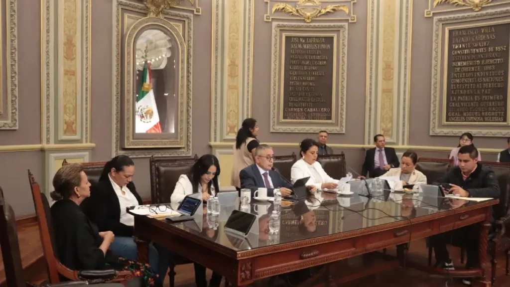 Impulsan propuesta legislativa para prohibir intervenciones estéticas en animales