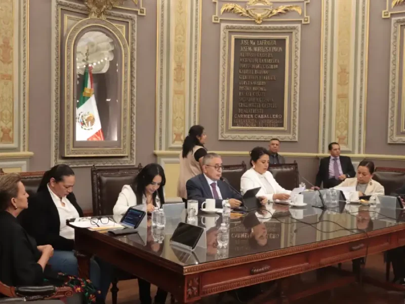 Impulsan propuesta legislativa para prohibir intervenciones estéticas en animales