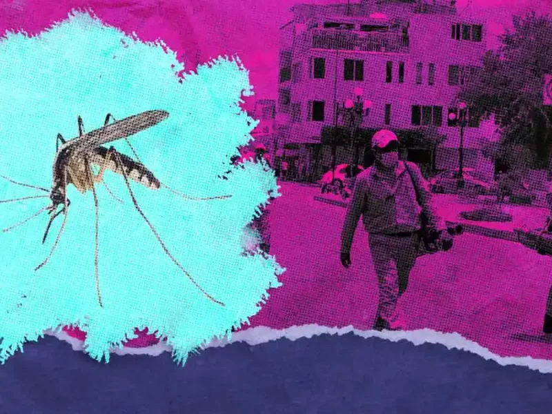 Puebla registra 12 nuevos contagios de dengue; van 979 acumulados en 2024