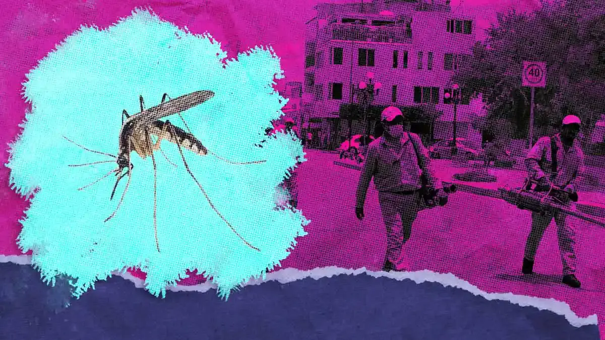 Puebla registra 12 nuevos contagios de dengue; van 979 acumulados en 2024