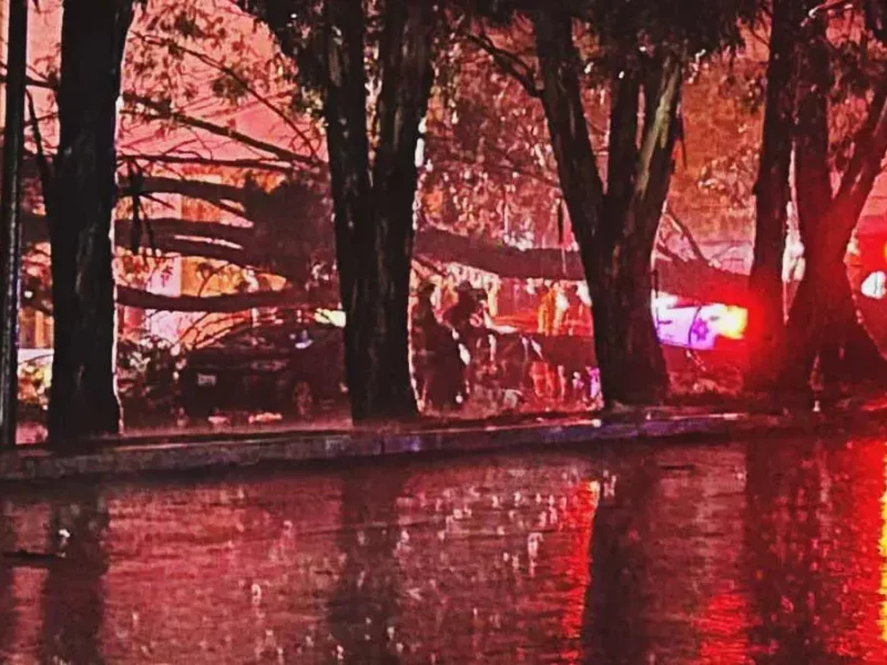 Adulto mayor murió tras caer árbol encima de su auto en Valle Dorado, Puebla