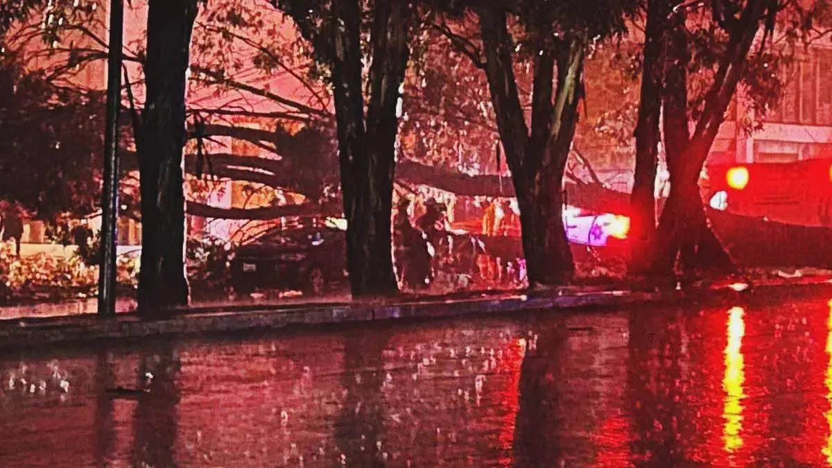 Adulto mayor murió tras caer árbol encima de su auto en Valle Dorado, Puebla