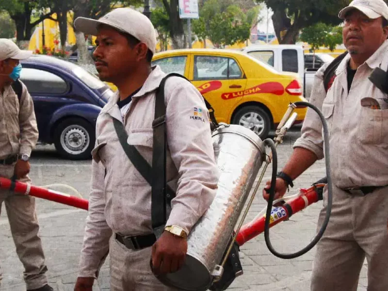 En dos días, hubo 52 contagios más de dengue en 42 municipios de Puebla 