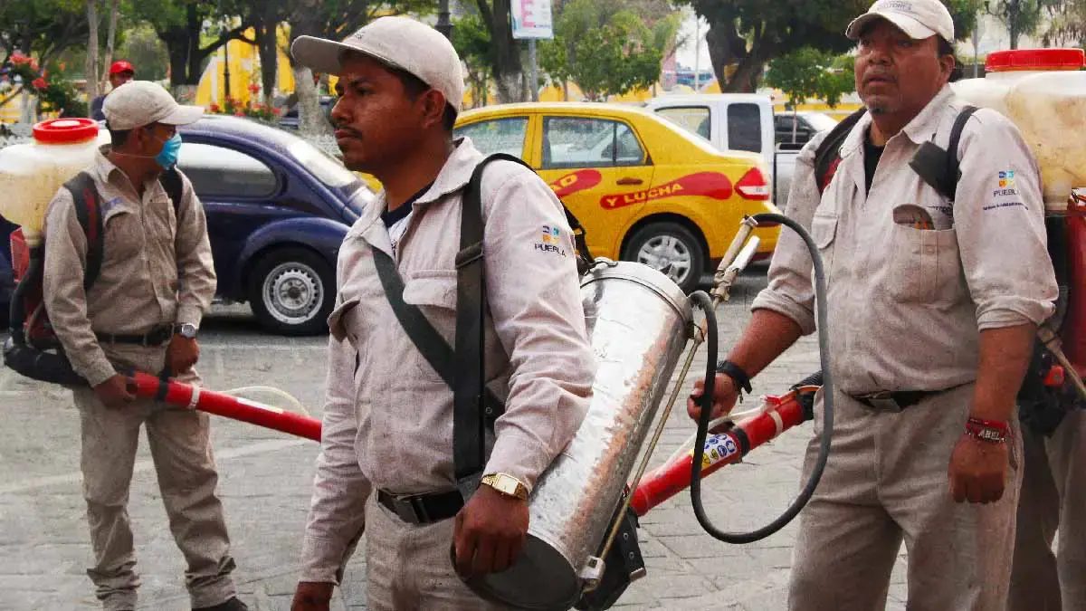 En dos días, hubo 52 contagios más de dengue en 42 municipios de Puebla