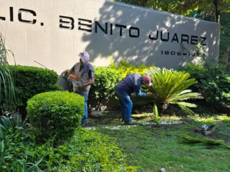 Ayuntamiento de Puebla da mantenimiento a más de 12 millones de metros cuadrados de superficies en parques, jardines y áreas verdes