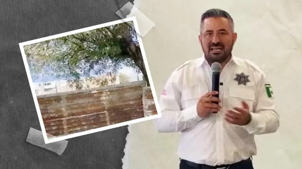 Agencia MG en Bulevar Hermanos Serdán, sin permiso para tala de árboles: Ayuntamiento de Puebla