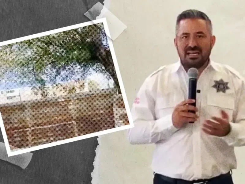 Agencia MG en Bulevar Hermanos Serdán, sin permiso para tala de árboles: Ayuntamiento de Puebla