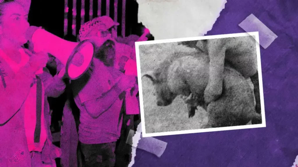 Animalistas exigen cancelar concurso “marrano ensebado” en Fiesta Patronal de Tehuacán