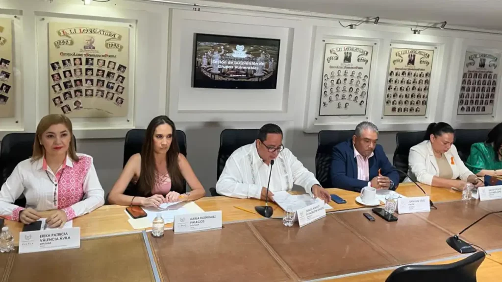 Aprueban en Comisión reformas para garantizar cuidados paliativos a personas adultas mayores