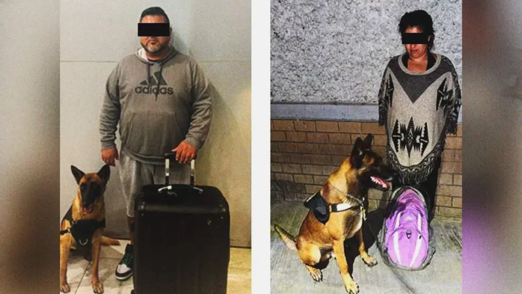 Hombre con maleta / mujer con mochila.