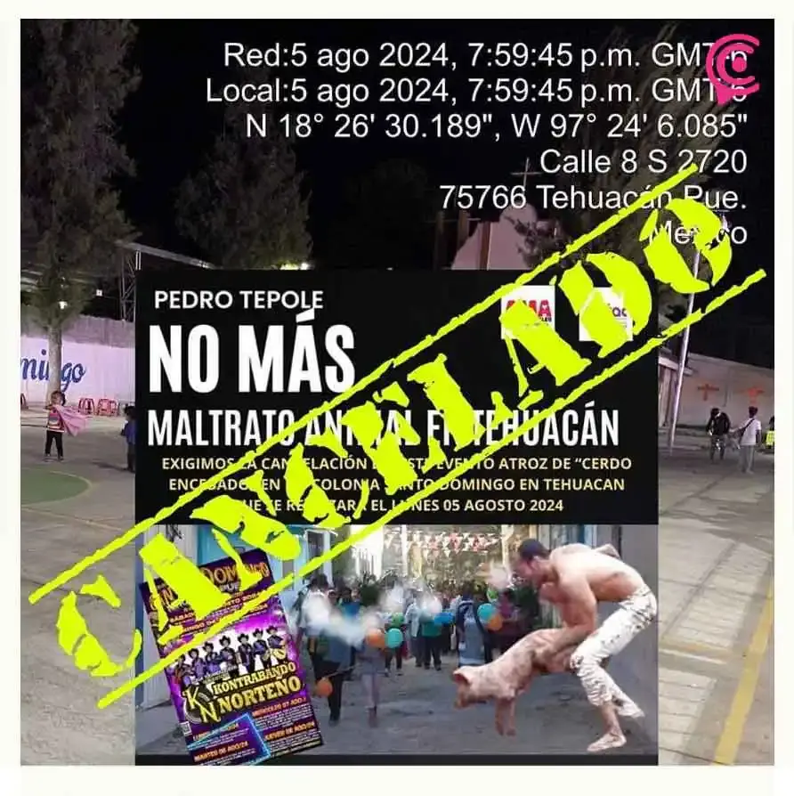 Autoridades cancelan concurso del “marrano ensebado” en Fiesta Patronal de Tehuacán