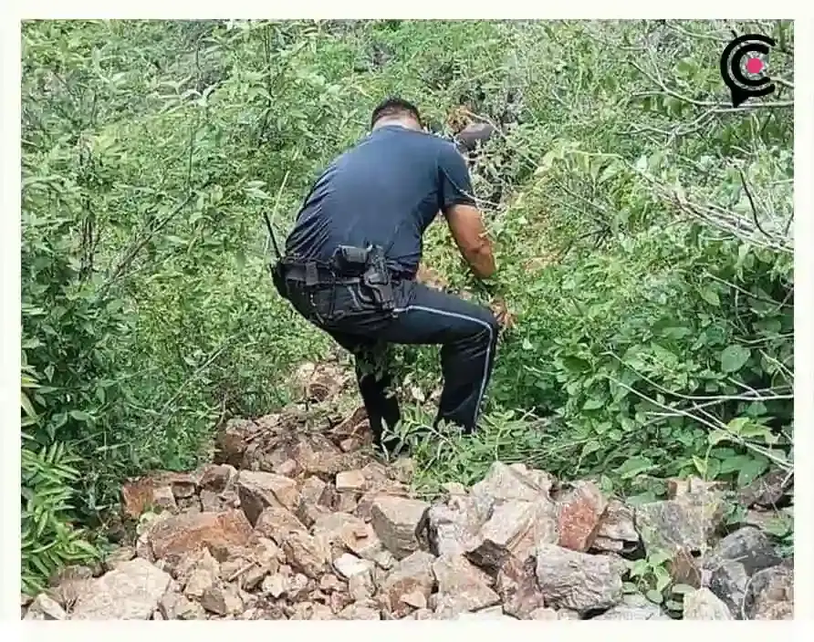 Auto cae en barranca de Coxcatlán, Puebla; hay un muerto y varios heridos