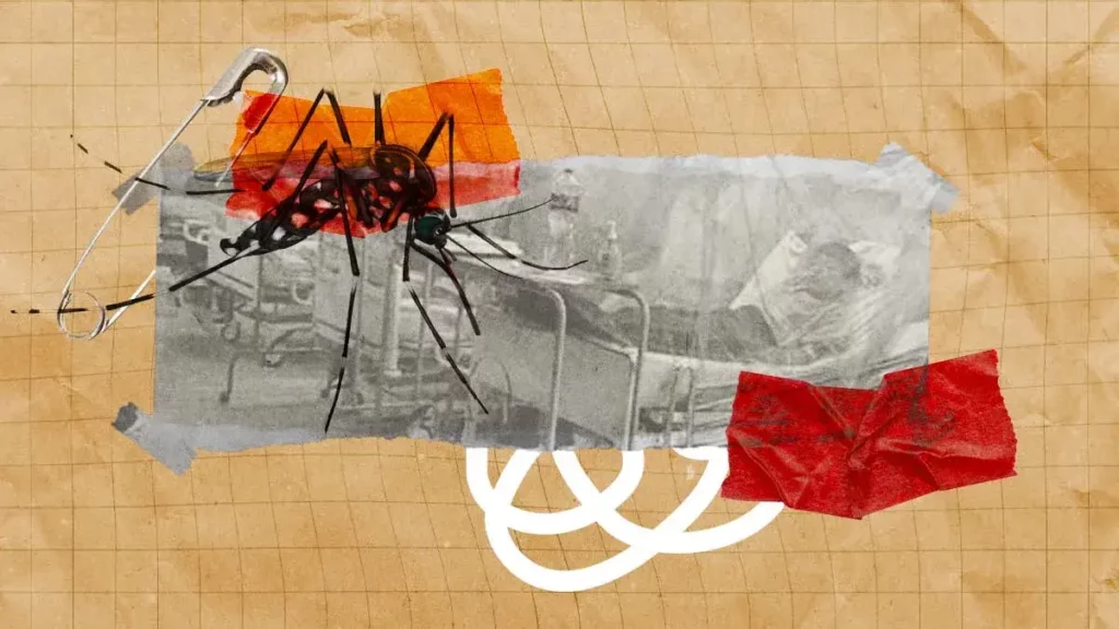 Casos de dengue repuntaron 40% en Puebla este 2024; van más de mil acumulados