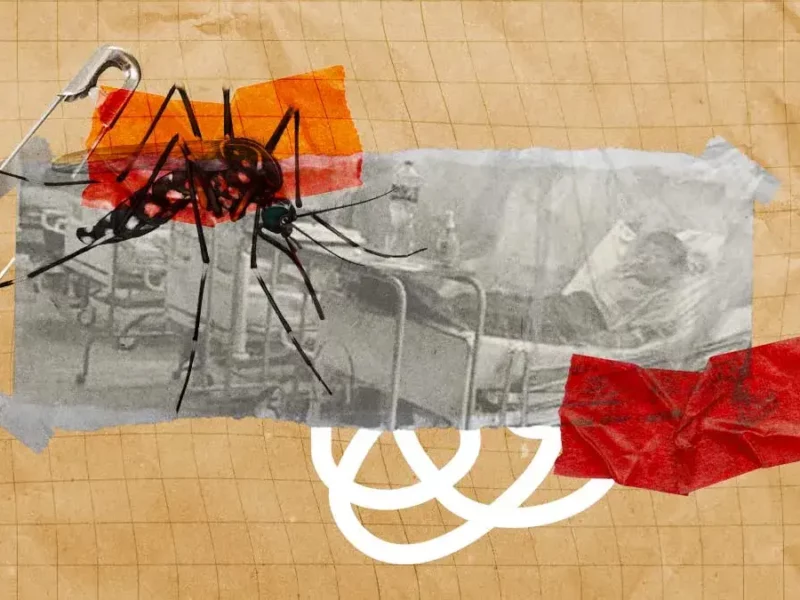 Casos de dengue repuntaron 40% en Puebla este 2024; van más de mil acumulados