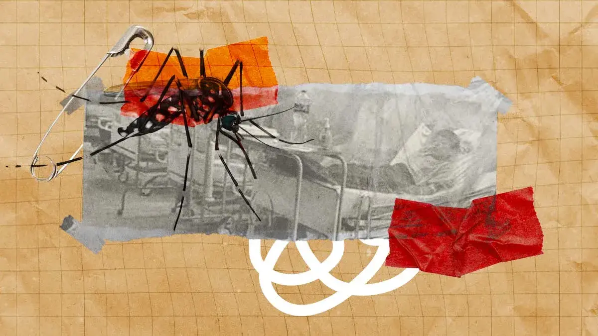 Casos de dengue repuntaron 40% en Puebla este 2024; van más de mil acumulados