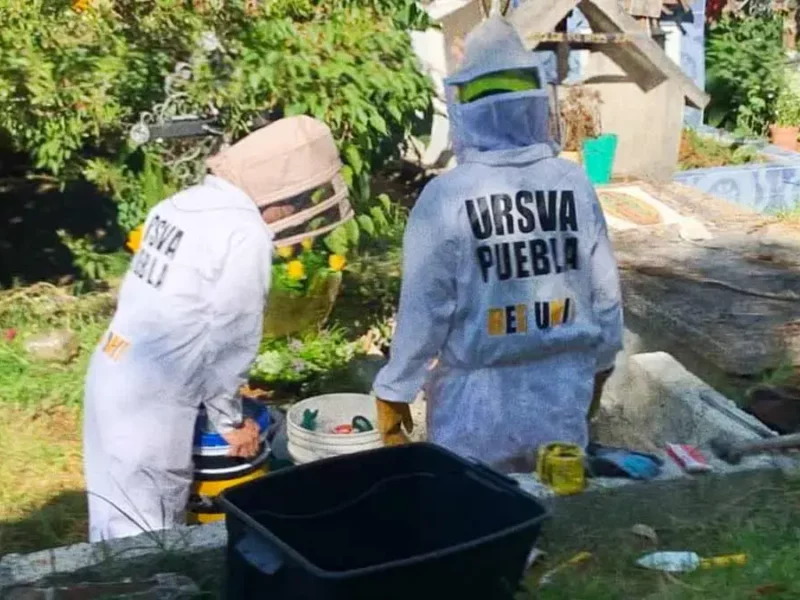 Ursva Puebla organiza colecta para adquirir nueva unidad de rescate animal