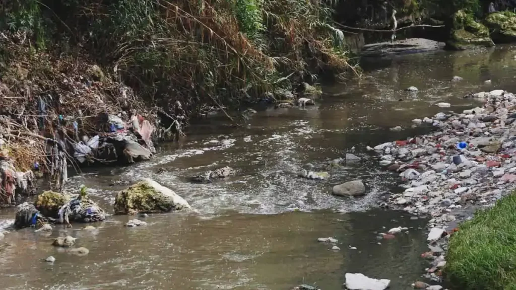 Encuentran cuerpo en estado de descomposición flotando en el Río Alseseca
