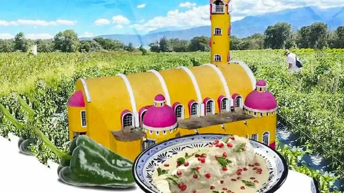 Más de 50 platillos tendrá la Feria Nacional del Chile Poblano 2024 en Tlanalapan