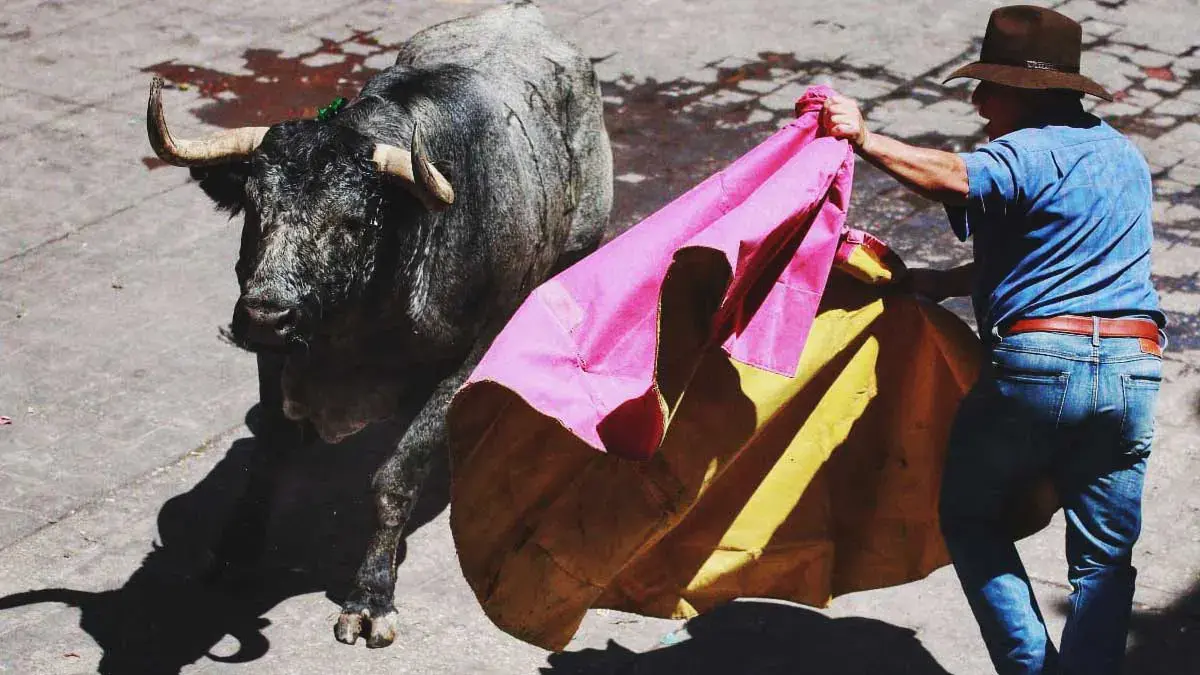 Huamantlada 2024 dejó decenas de heridos, entre los lesionados hubo turistas foráneos