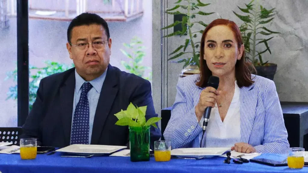 Militancia debe decidir sobre renovación de dirigencia del PAN Puebla: Adriana Dávila Fernández