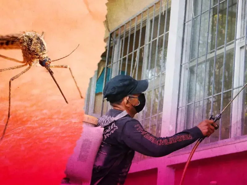 Reportan casos de dengue en 57 municipios de Puebla hasta el 22 de agosto 2024