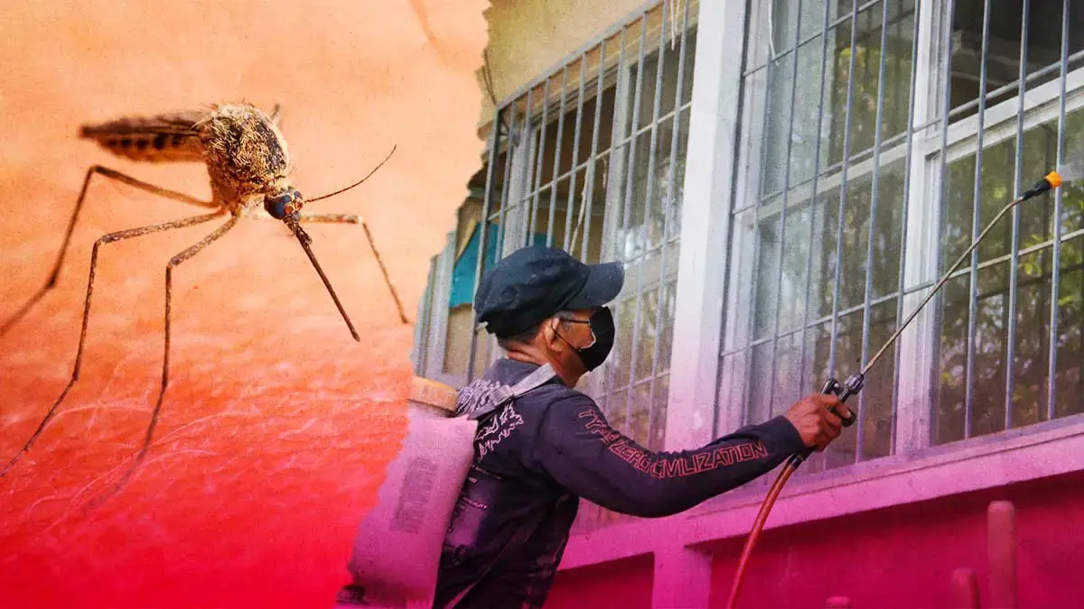 Reportan casos de dengue en 57 municipios de Puebla hasta el 22 de agosto 2024