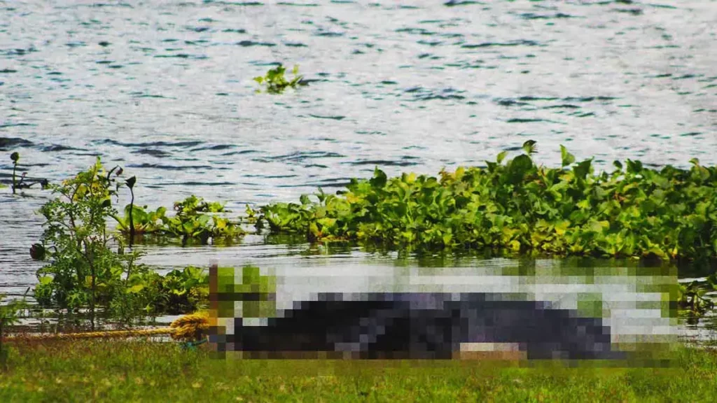 Encuentran un cuerpo putrefacto a la orilla de la laguna de Valsequillo, Puebla