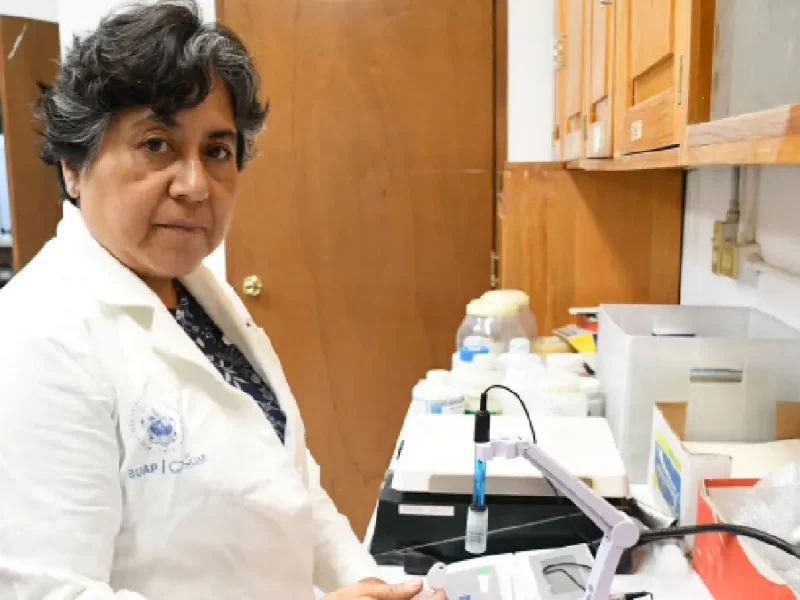 Académica BUAP propone usar arcillas para adsorber micotoxinas, un hongo que afecta al maíz