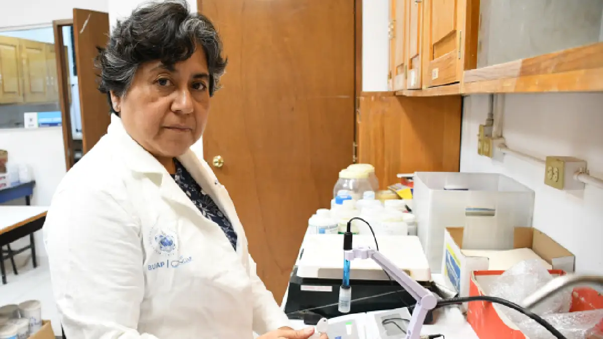 Académica BUAP propone usar arcillas para adsorber micotoxinas, un hongo que afecta al maíz