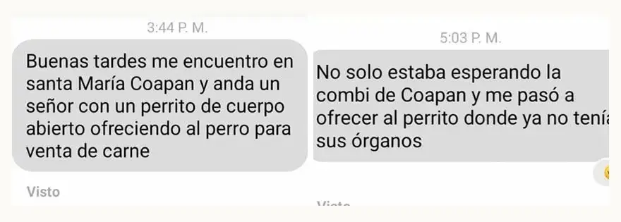 Denuncian a hombre que ofreció a perro sin vida como carne de consumo en Tehuacán