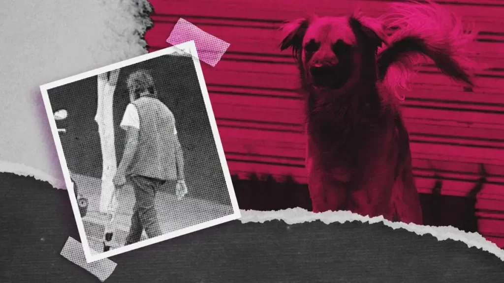 Denuncian a hombre que ofreció a perro sin vida como carne de consumo en Tehuacán