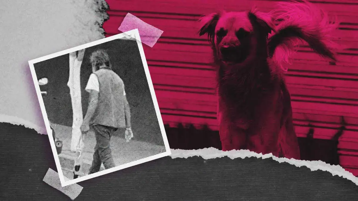 Denuncian a hombre que ofreció a perro sin vida como carne de consumo en Tehuacán