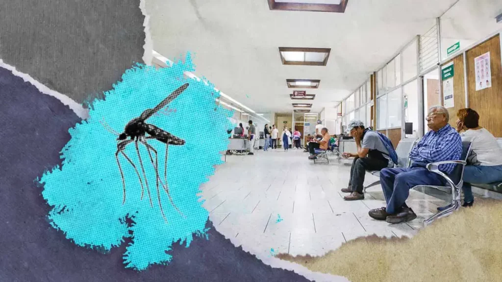 En un día hospitalizaron a 22 personas por dengue en Puebla