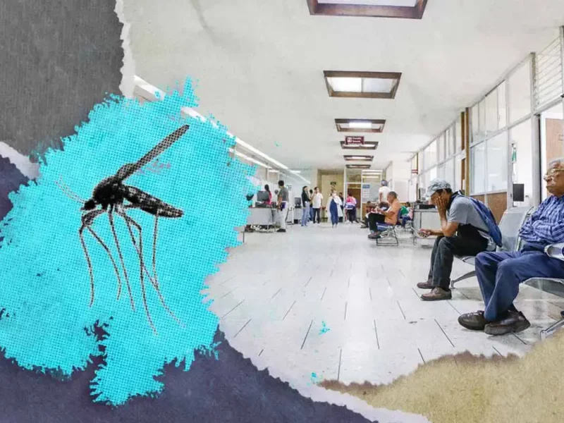 En un día hospitalizaron a 22 personas por dengue en Puebla